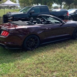 Meet your Posher, Harvey